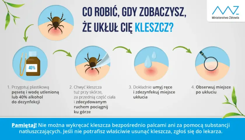 Instrukcja usuwania kleszcza: przygotuj pęsetę i środek dezynfekujący, chwyć kleszcza blisko skóry i wyciągnij go ruchem jednostajnym. Umyj i zdezynfekuj miejsce ukłucia. Obserwuj je po usunięciu.