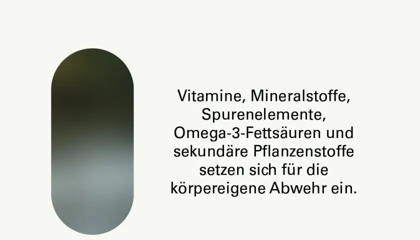 Vitamine fürs Immunsystem: Stärken Sie Ihre Abwehrkräfte effektiv