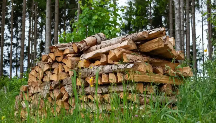 Ein großer Stapel gespaltenes Brennholz liegt im Wald. Die Preise für Brennholz sind aktuell hoch.