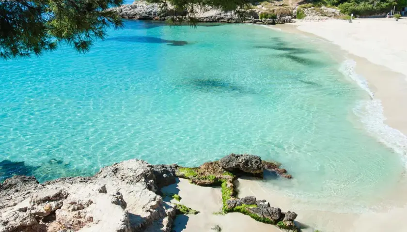 Traumhafter **Palma de Mallorca Strand** mit kristallklarem, türkisfarbenem Wasser und feinem Sand. Felsen und grüne Pinien säumen die Bucht.