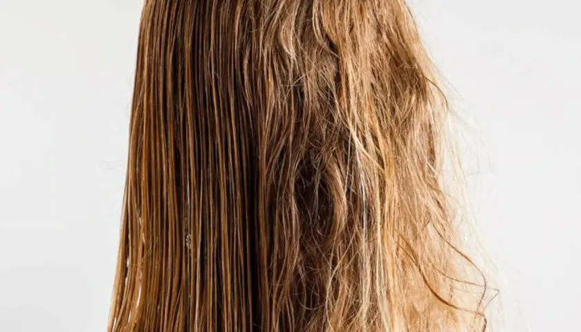 Cabello castaño, una mitad lisa y brillante, la otra con aspecto seco y pelo fosco.