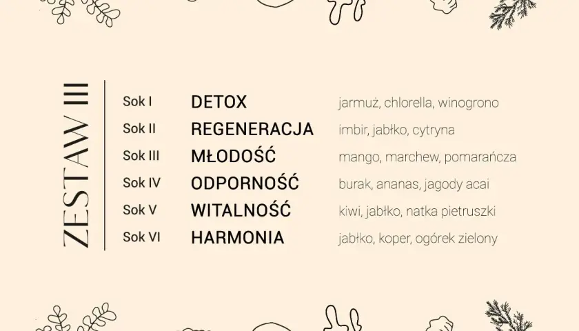 Dieta sokowa efekty: zestawy soków na detoks, regenerację, młodość, odporność, witalność i harmonię. Składniki: jarmuż, imbir, mango, burak, kiwi, jabłko.