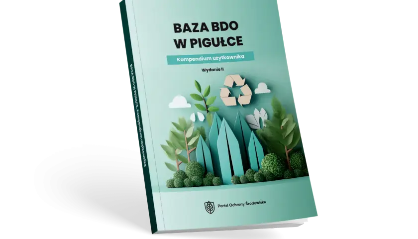 Co to jest BDO – kompletny przewodnik dla zainteresowanych