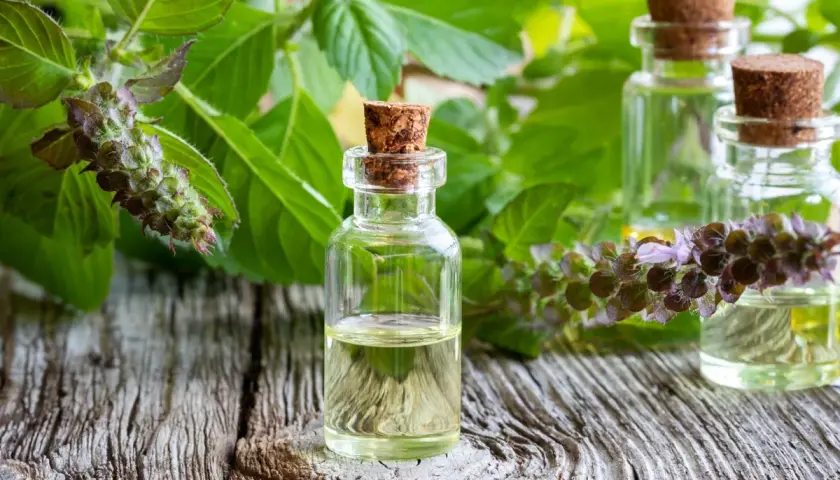 Piccole boccette di olio essenziale di basilico santo su un tavolo di legno, circondate da foglie verdi e fiori viola.