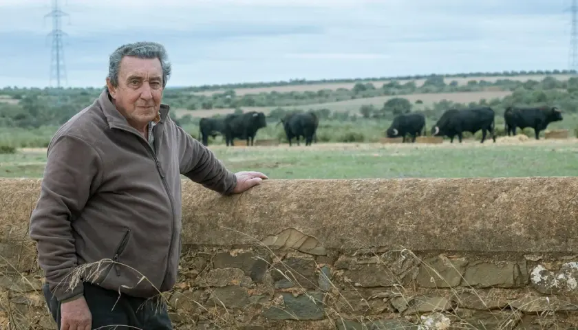 Fernando Cuadri, a man of considerable edad, oversees his herd of black bulls in a pastoral landscape.