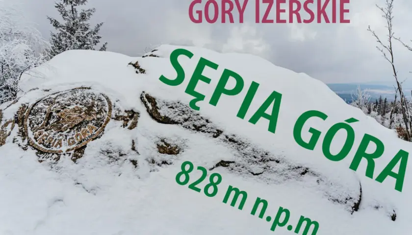 Pokryta śniegiem Sępia Góra w Górach Izerskich, z widocznym znakiem szczytu i wysokością 828 m n.p.m.