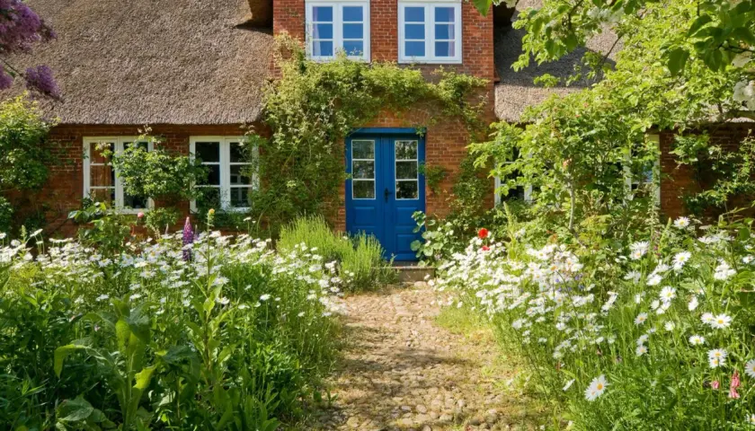 Ein Weg aus Kieselsteinen führt zu einem roten Backsteinhaus mit Reetdach und blauer Tür. Üppige Blumenbeete mit Margeriten und grünen Pflanzen inspirieren zu **vorgarten ideen**.