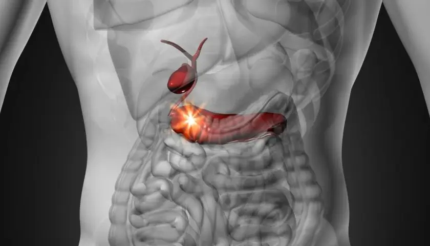 Anatomical illustration of the gallbladder and pancreas, with the pancreas highlighted in red and glowing.