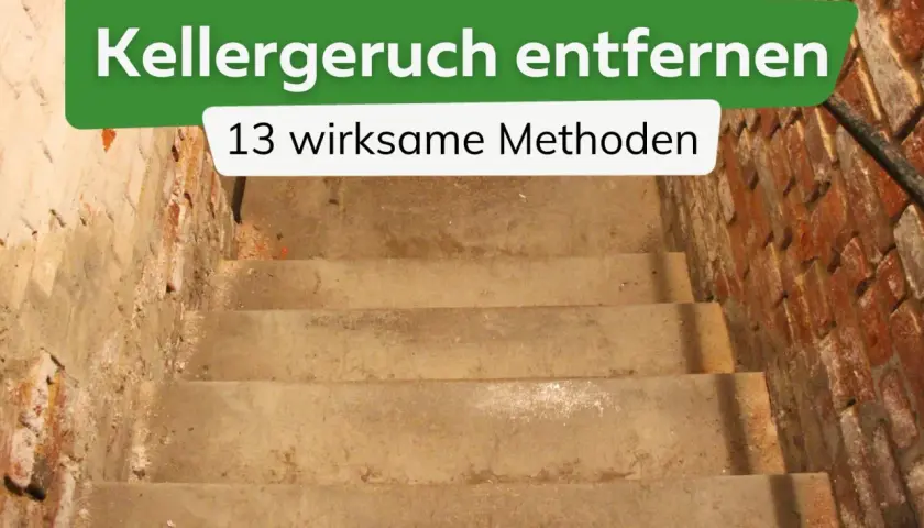Treppe in einen alten Keller mit Ziegelwänden. Text: "Kellergeruch entfernen - 13 wirksame Methoden". So wird man den Geruch im Keller neutralisieren.
