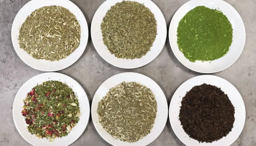 Sześć talerzy z różnymi rodzajami yerba mate, od zielonej po ciemnobrązową. Poznaj fascynujące verde mate właściwości!