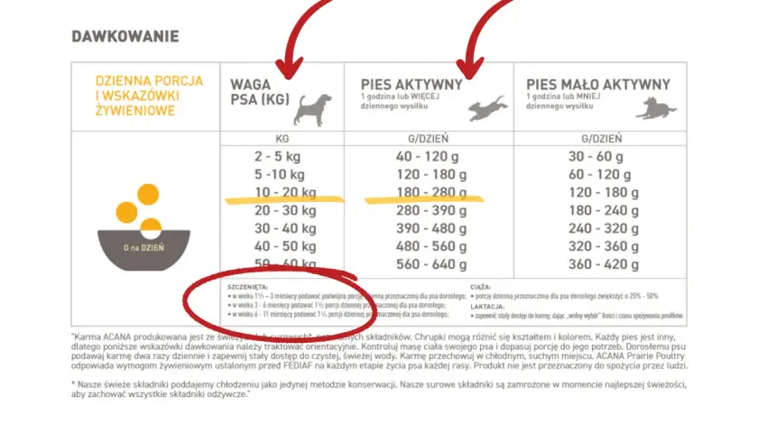 Ile karmy dla szczeniaka maltańczyka? Tabela dawkowania i porady