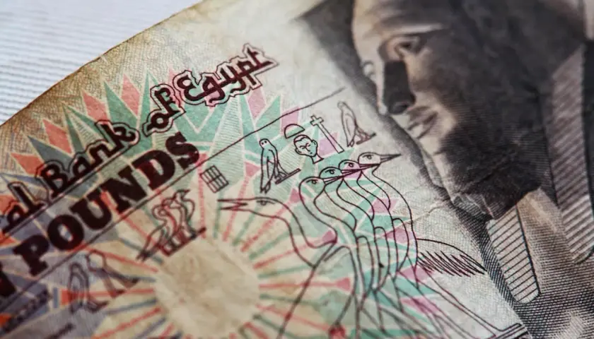 Fragment banknotu z napisem "National Bank of Egypt POUNDS" i wizerunkiem faraona.