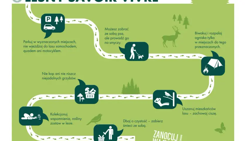 Poradnik "Leśny savoir-vivre" pokazuje zasady zachowania w lesie, w tym jak przygotować się na nocowanie w lesie.