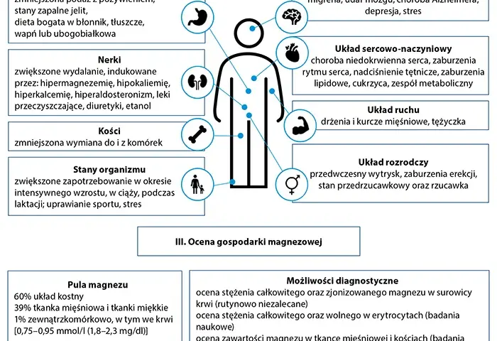 Magnez na nerwicę: Ile, jaki i jak uspokoić nerwy? Poradnik