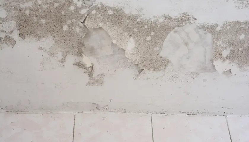Schimmel und abblätternde Farbe an der Wand über den hellen Fliesen im Keller deuten auf Feuchtigkeit hin.