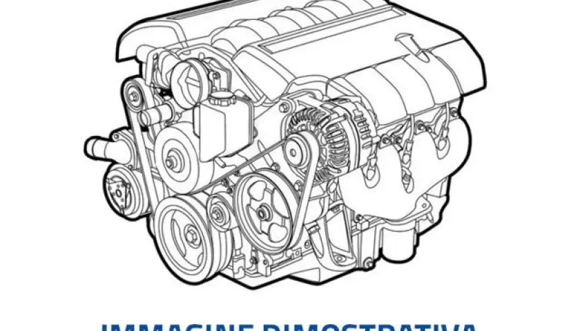 Schema motore Ford Fiesta 1.4 TDCI: disegno tecnico di un motore, con dettagli su cinghie, pulegge e alternatore.