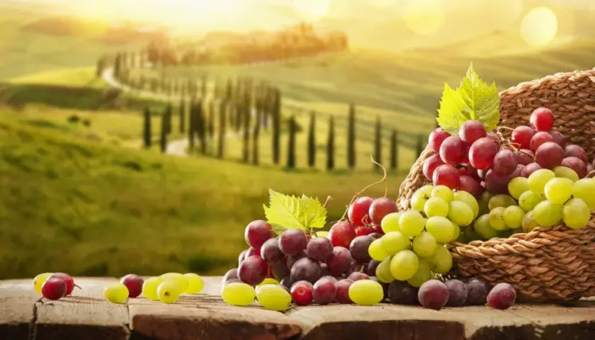 Die überraschenden Vitamine in Weintrauben und ihre Gesundheitsvorteile