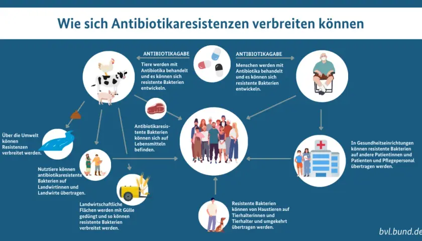 Schema zeigt, wie sich antibiotikaresistente Bakterien verbreiten. Eine bakterielle Infektion kann ansteckend sein und sich über Tiere, Menschen, Lebensmittel und die Umwelt ausbreiten.