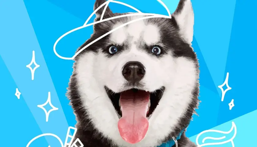 Wesoły pies podobny do husky w czapce, z wywieszonym językiem, na niebieskim tle z białymi gwiazdkami.