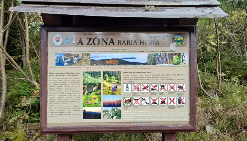 Tablica informacyjna o strefie Babia Góra z psem, opisująca zasady ochrony przyrody.