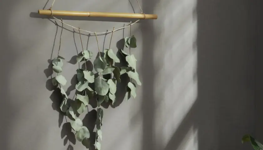 Ein hängender Zweig mit getrocknetem Eukalyptus, befestigt an einem Bambusstock, wirft Schatten an eine graue Wand.