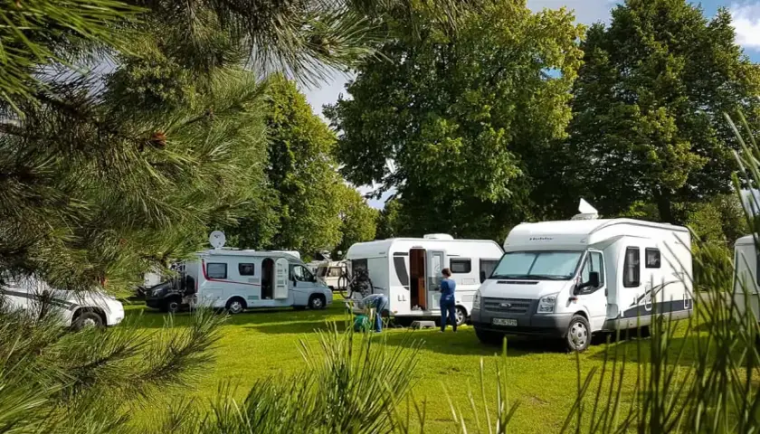 Kampery na zielonym polu, jakby przygotowywały się do podróży po Rosji. Słońce, drzewa i spokój.