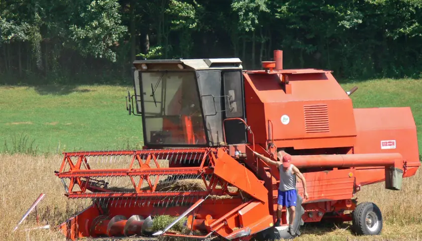 Pomarańczowy kombajn zbożowy Bizon w polu, obok stoi mężczyzna.