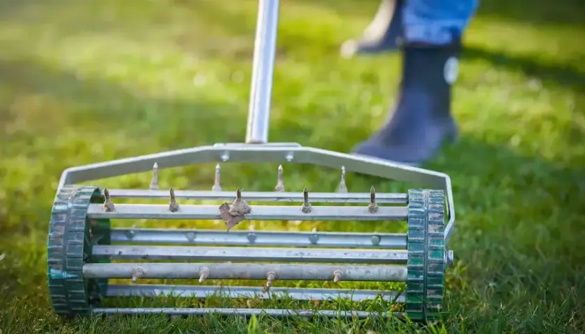 Wertykulator na trawniku, przygotowujący go do rekultywacji. Widać kolce i fragmenty butów osoby pracującej.