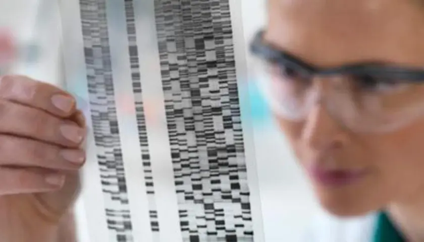 Ricercatrice analizza sequenza genetica, studiando come la schizofrenia è ereditaria.