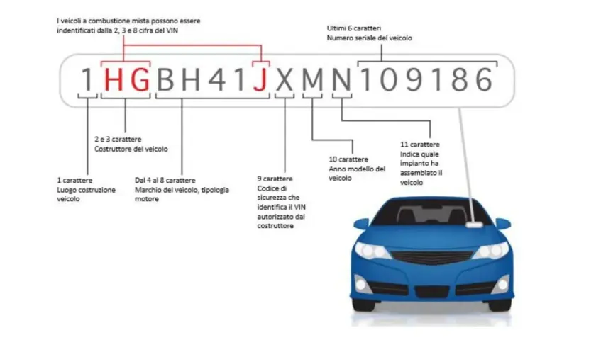 Schema per ricavare codice OEM da telaio (VIN). Ogni cifra del numero di telaio fornisce informazioni sul veicolo.