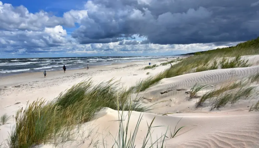 Piaszczyste wydmy porośnięte trawami na Mierzei Wiślanej. W oddali widać morze i kilka osób spacerujących po plaży.