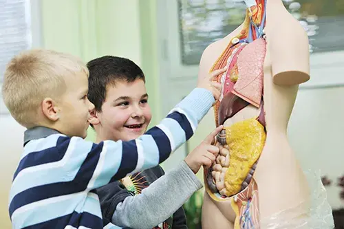 Biologia praca po studiach: najlepsze możliwości zatrudnienia i kariery