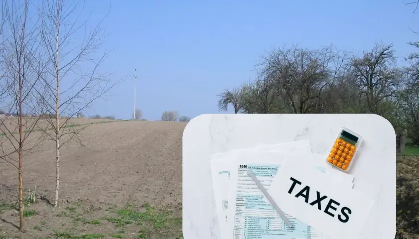 Pole i młode drzewka. Na pierwszym planie dokumenty podatkowe i kalkulator, sugerujące podatek od zakupu działki rolnej.