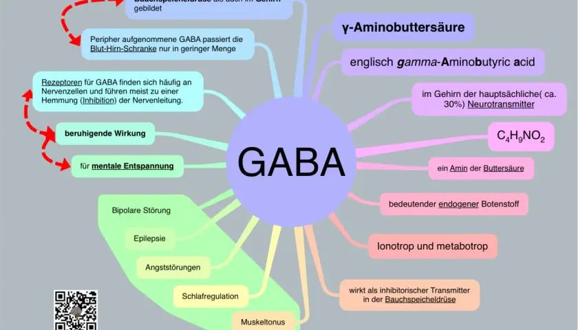 GABA, ein Neurotransmitter, fördert mentale Entspannung und beruhigt. Es ist wichtig für Schlafregulation und Muskeltonus.