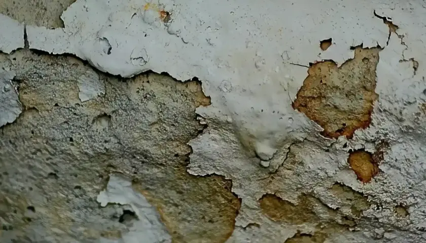 Dettaglio di un muro con intonaco scrostato che rivela macchie scure, indicativo della necessità di un trattamento muffa muri.