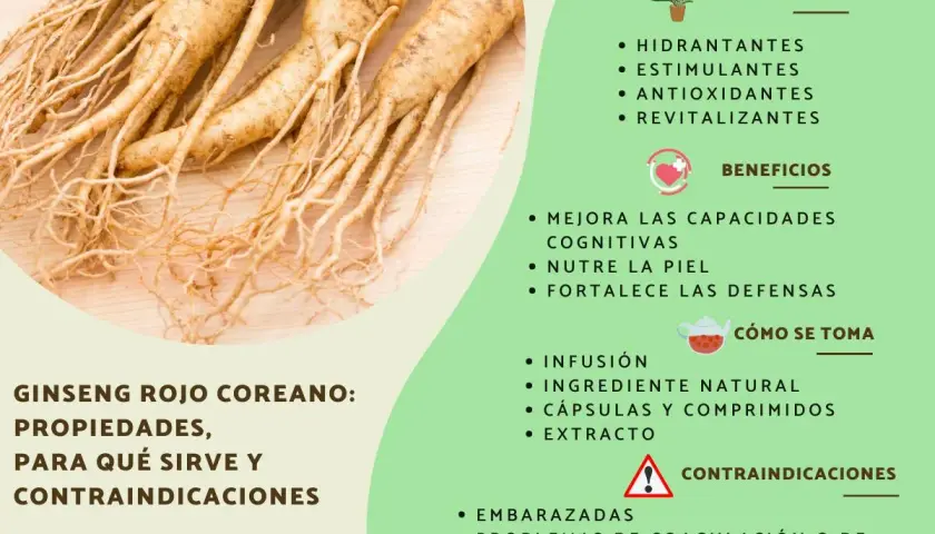 Raíces de ginseng rojo coreano. Sus propiedades incluyen ser hidratante, estimulante y revitalizante. Mejora la cognición y fortalece defensas.