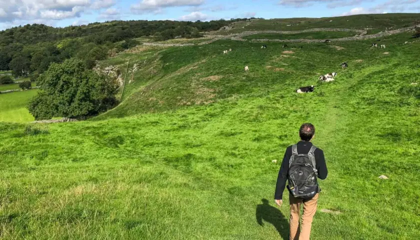 A lone hiker walks along the Dales Way, a path winding through a lush green valley dotted with grazing cows under a bright blue sky.