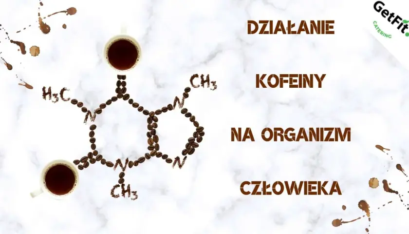Działanie kofeiny na organizm człowieka. Zastanawiasz się, po jakim czasie kofeina znika z organizmu? Kawa i jej cząsteczki.