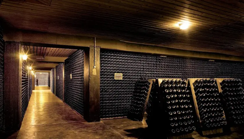Corridoio di una cantina con migliaia di bottiglie. Un'esperienza indimenticabile per un tour cantine sicilia.
