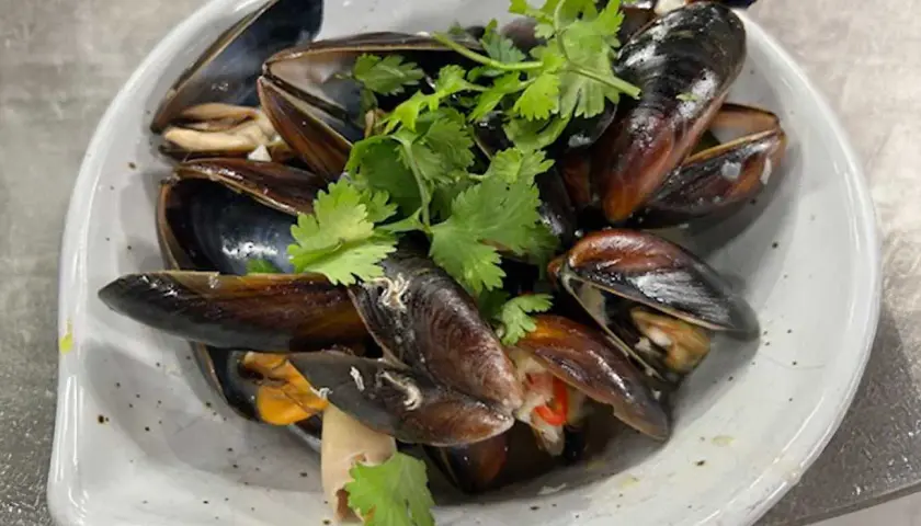 En skål med ångade musslor, garnerade med färsk koriander. Perfekt för ett enkelt musslor recept.