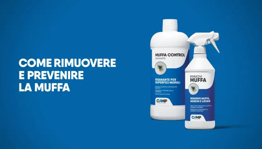 Soluzione per il trattamento muffa muri: due prodotti CAMP per risanare e rimuovere muffa, muschi e licheni da interni ed esterni.