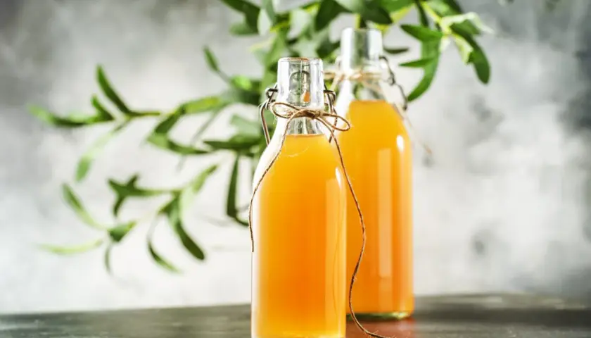 Dwie butelki z domową kombuchą, idealne do wypróbowania prostego kombucha przepis. Zielone liście w tle dodają świeżości.