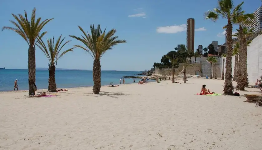 Arena dorada y palmeras en la playa blanca Alicante. Gente disfrutando del sol y el mar Mediterráneo.