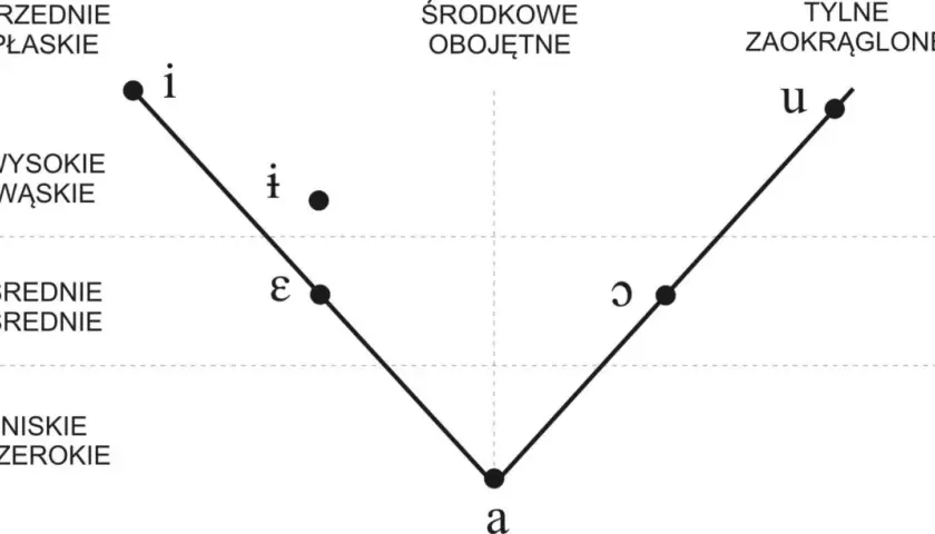 Wykres samogłosek: przednie płaskie (i, ε), środkowe obojętne (•, ǝ), tylne zaokrąglone (u, ɔ). Niskie szerokie to 'a'.