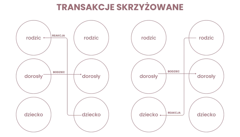 Schemat ilustruje teorię wymiany społecznej, pokazując interakcje między rodzicem, dorosłym i dzieckiem jako bodźce i reakcje.