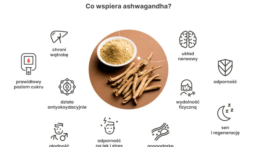 Ashwagandha na noc wspiera sen i regenerację, a także odporność na lęk i stres. Pomaga też w gospodarce lipidowej.