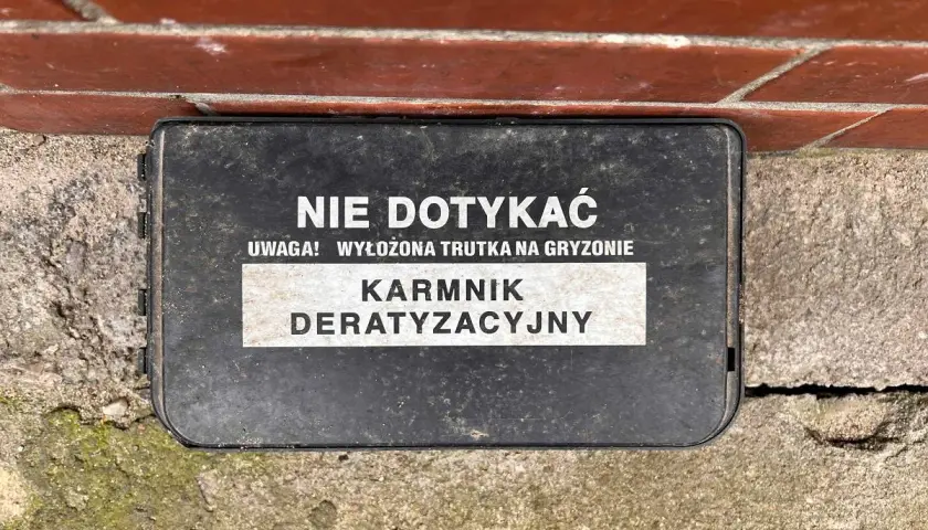 Kto odpowiada za deratyzację w bloku? Prawo i Twój plan działania.