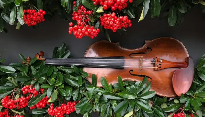 Wszystko co musisz wiedzieć zanim rozpoznasz stare skrzypce - poradnik eksperta