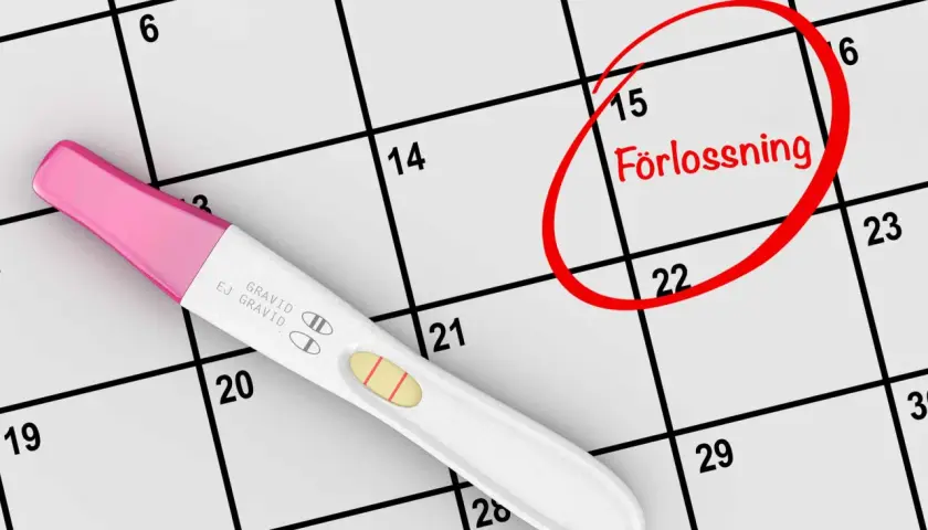 Graviditetstest visar positivt. Kalendern visar att förlossningen är planerad om några trimester veckor, markerad med en röd cirkel.