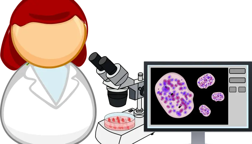 Biologo nutrizionista al lavoro con microscopio e campioni cellulari visualizzati su schermo.
